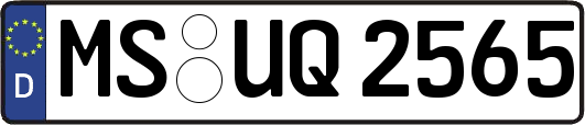 MS-UQ2565
