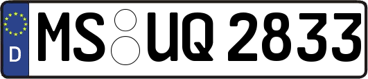 MS-UQ2833