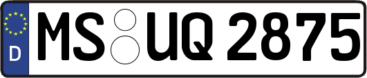 MS-UQ2875