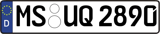 MS-UQ2890