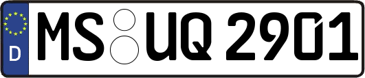 MS-UQ2901