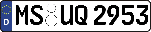 MS-UQ2953