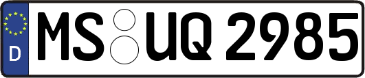 MS-UQ2985