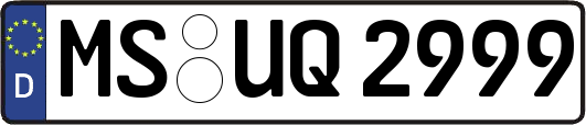 MS-UQ2999