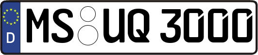 MS-UQ3000