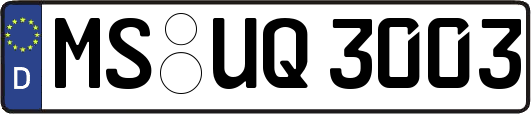 MS-UQ3003