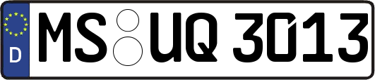 MS-UQ3013