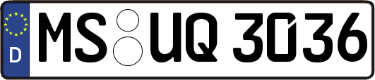 MS-UQ3036