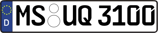 MS-UQ3100
