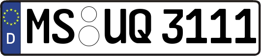 MS-UQ3111