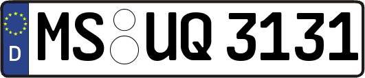 MS-UQ3131