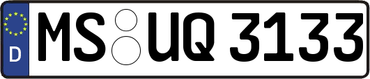 MS-UQ3133