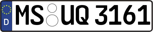 MS-UQ3161