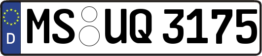 MS-UQ3175