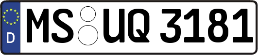 MS-UQ3181