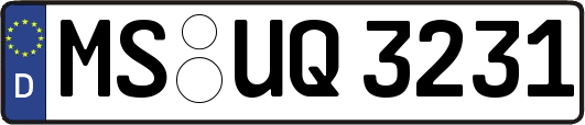 MS-UQ3231