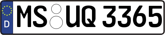 MS-UQ3365