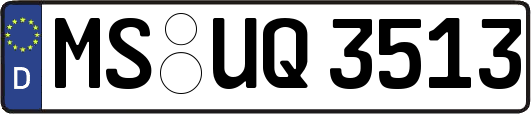 MS-UQ3513