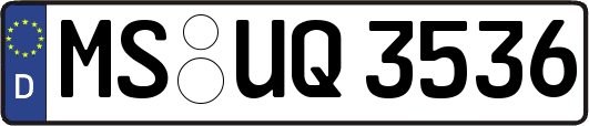 MS-UQ3536
