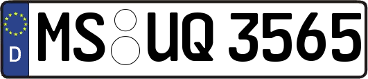 MS-UQ3565
