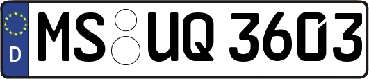 MS-UQ3603