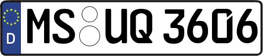 MS-UQ3606