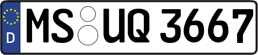 MS-UQ3667