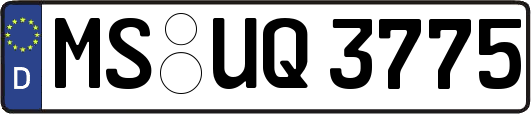 MS-UQ3775
