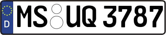 MS-UQ3787
