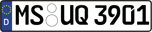 MS-UQ3901