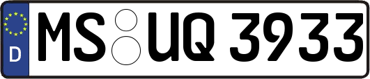 MS-UQ3933
