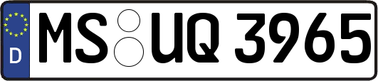 MS-UQ3965