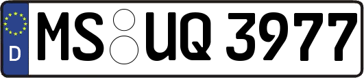 MS-UQ3977