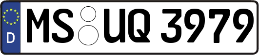 MS-UQ3979