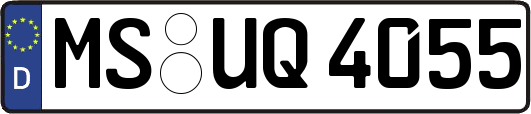 MS-UQ4055
