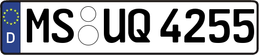 MS-UQ4255
