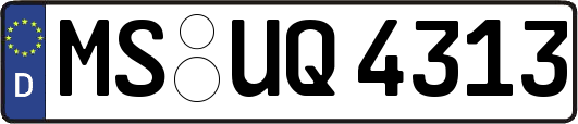 MS-UQ4313