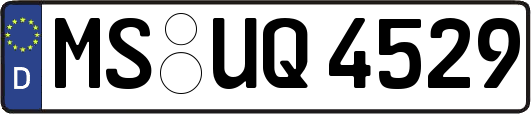 MS-UQ4529