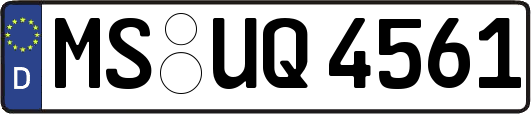 MS-UQ4561