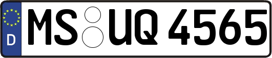 MS-UQ4565