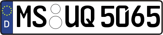 MS-UQ5065