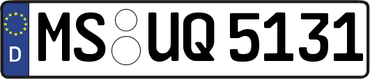 MS-UQ5131