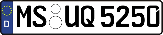 MS-UQ5250