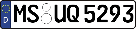 MS-UQ5293