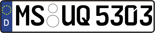 MS-UQ5303