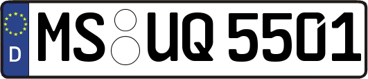 MS-UQ5501