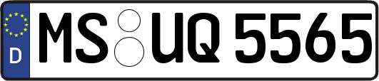 MS-UQ5565