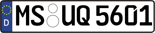 MS-UQ5601