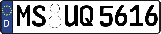 MS-UQ5616