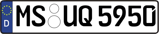 MS-UQ5950